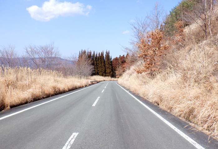 19.JPG