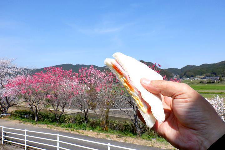 9.JPG