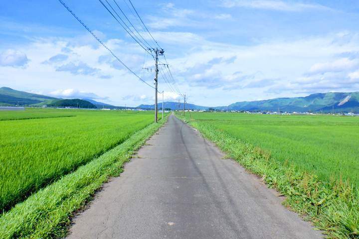 9.JPG