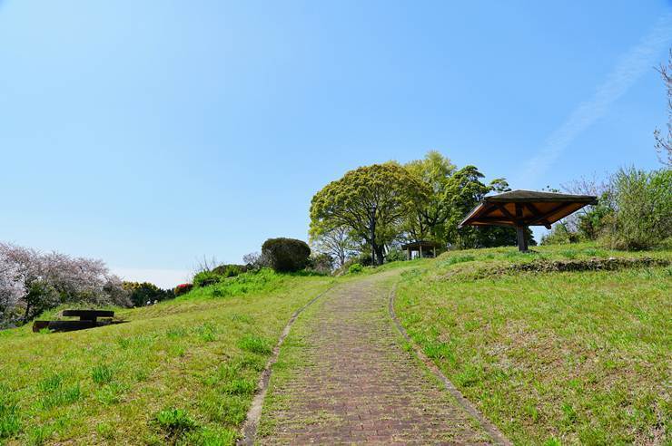 n18.JPG